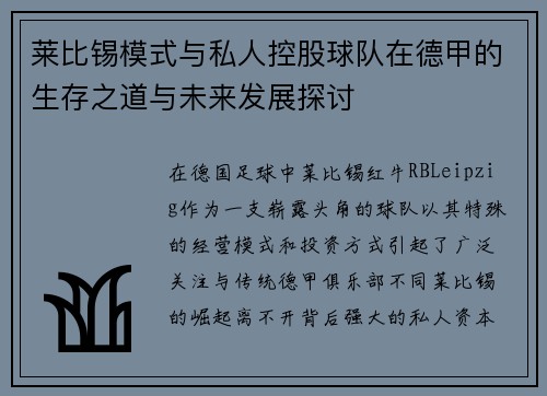 莱比锡模式与私人控股球队在德甲的生存之道与未来发展探讨